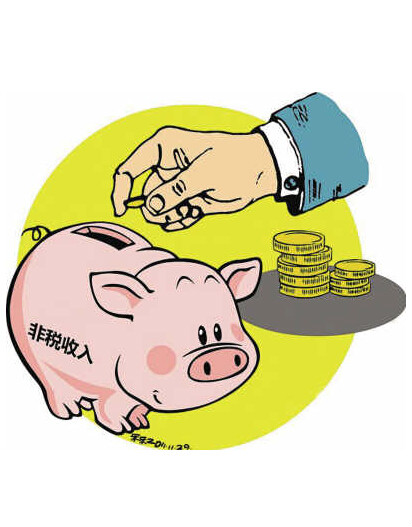 廣西壯族自治區政府非稅收入管理條例