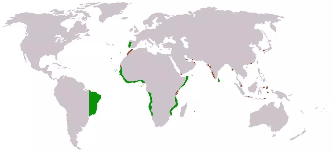 鼎盛時期的葡萄牙人控制了大部分文明世界的海域