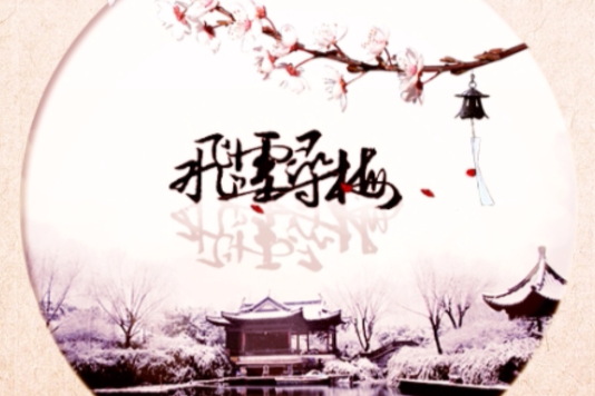 飛雪尋梅 飛雪尋梅