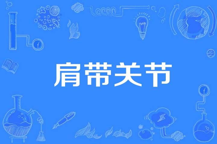 肩帶關節 肩帶關節