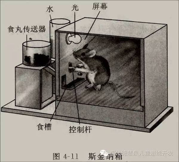 及時強化 及時強化