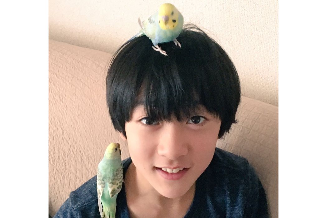 小林颯 小林颯