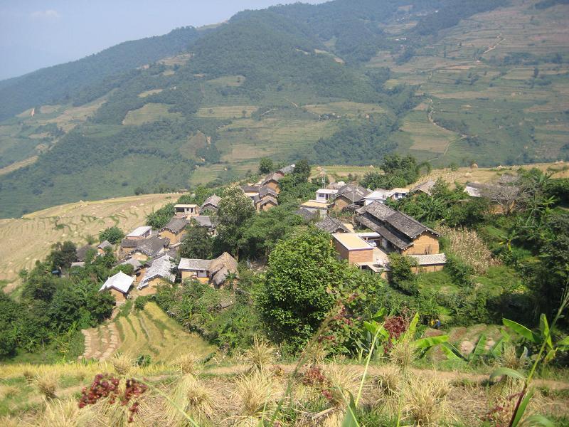 八良田村 八良田村