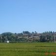 架格村(雲南省曲靖市師宗縣彩雲鎮架格村) 架格村(雲南省曲靖市師宗縣彩雲鎮架格村)
