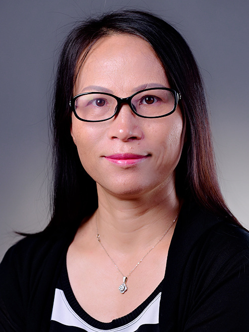 龍步菊 龍步菊