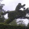 關會 關會