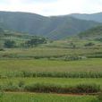 普羅山村 普羅山村