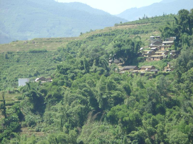 中處村 中處村