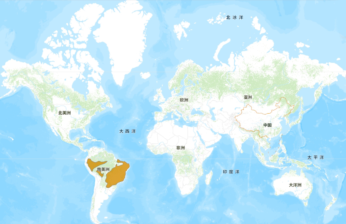 藍翅鸚哥分布圖
