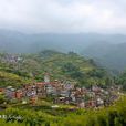 蓮花村(江西省宜豐縣潭山鎮蓮花村) 蓮花村(江西省宜豐縣潭山鎮蓮花村)