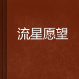 流星願望 流星願望