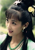 白眉大俠(1995年王文杰執導電視劇)