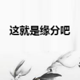 這就是緣分吧 這就是緣分吧