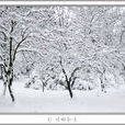 江南雪 江南雪