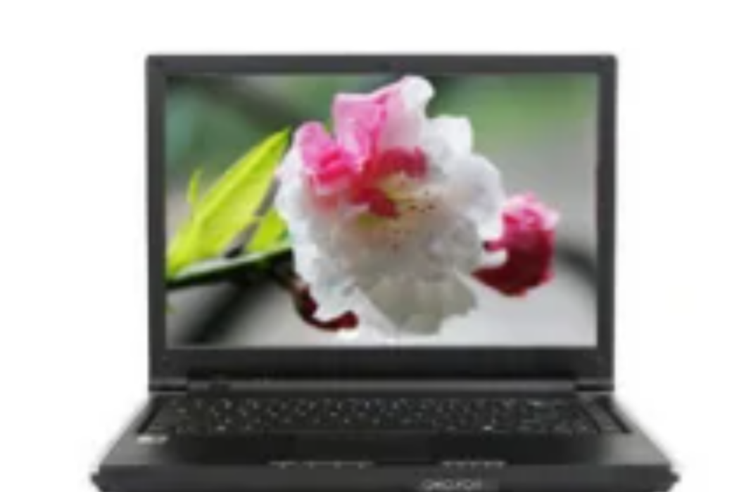 微星 MEGABOOK S262X-PT2052CB0 微星 MEGABOOK S262X-PT2052CB0