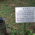 量雨器 量雨器