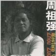 周祖強(2010年廣西美術出版社出版的圖書) 周祖強(2010年廣西美術出版社出版的圖書)