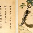 葡萄松鼠圖 葡萄松鼠圖