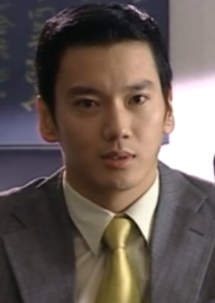 無法抗拒(王小康執導2007年播出的電視劇)