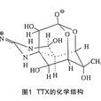 TTX(石泰集團旗下德國品牌)