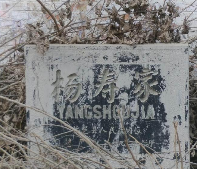 楊壽村 楊壽村