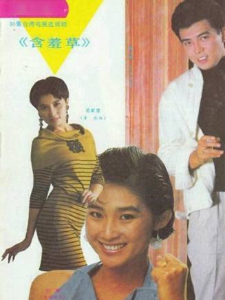 張晨光 張晨光
