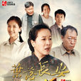 葉落長安(2011年姚曉峰執導電視劇) 葉落長安(2011年姚曉峰執導電視劇)