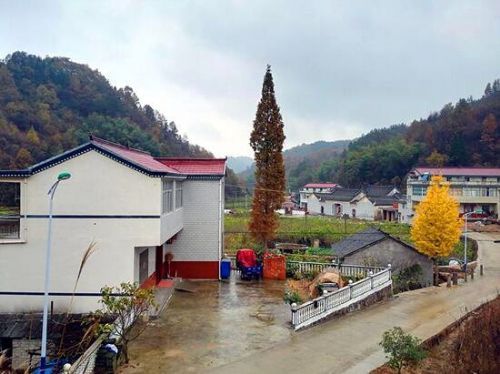 板堰村 板堰村