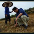黃大方(汕頭大學外語系副教授) 黃大方(汕頭大學外語系副教授)