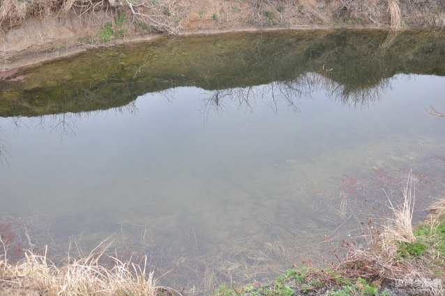 潭窩村 潭窩村