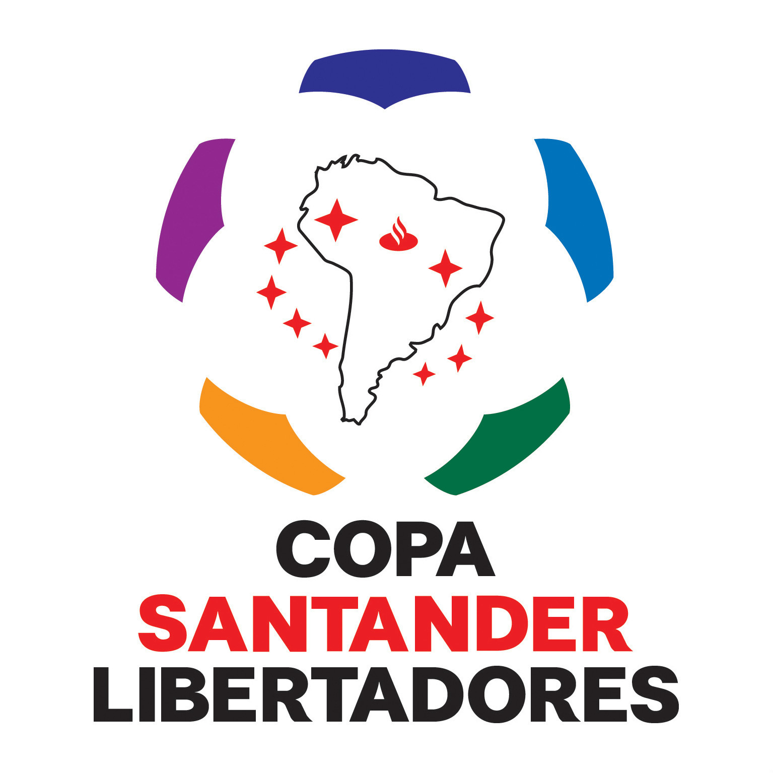 2011年南美解放者杯