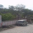 馮家莊村(山西省呂梁市方山縣積翠鄉下轄村) 馮家莊村(山西省呂梁市方山縣積翠鄉下轄村)