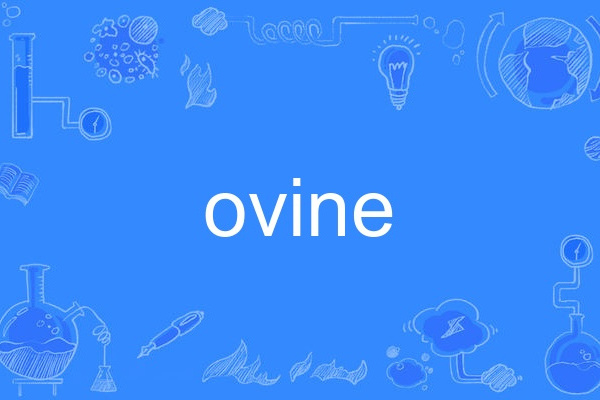 ovine ovine