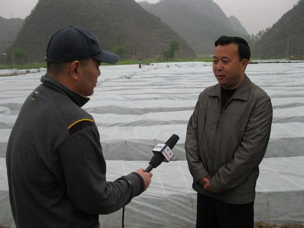 成名堯 成名堯