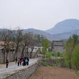 南辛村(山東章丘市官莊鄉下轄村) 南辛村(山東章丘市官莊鄉下轄村)