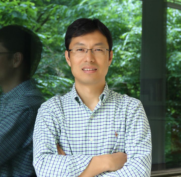 羊曉東 羊曉東