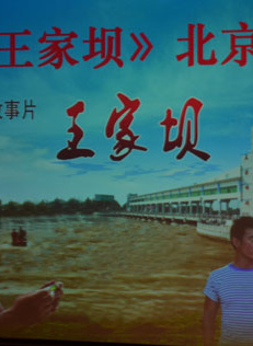 李心敏 李心敏
