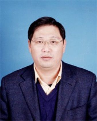 王大勇(徐州市人民政府國有資產監督管理委員會四級調研員)