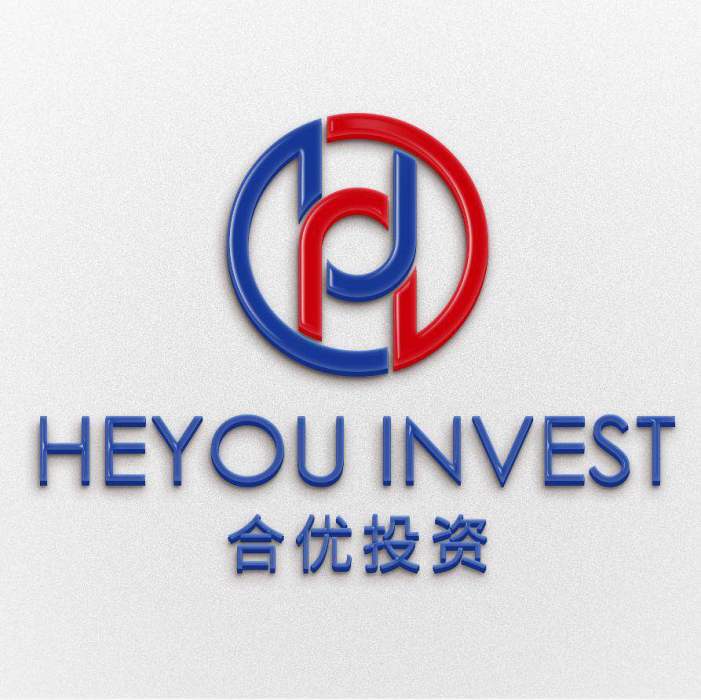 上海合優投資管理有限公司