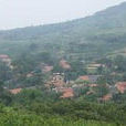 張家疃村 張家疃村