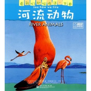 河流動物 河流動物
