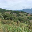水期登村 水期登村