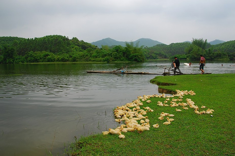 閘口水庫 閘口水庫