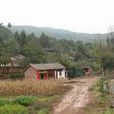 岔溝村(雲南會澤縣新街鄉下轄村) 岔溝村(雲南會澤縣新街鄉下轄村)