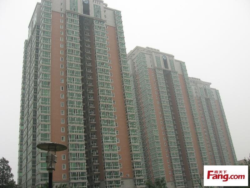 永泰園 永泰園