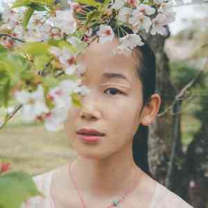 天野花 天野花