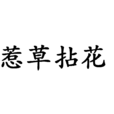 惹草拈花 惹草拈花