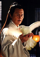 流星蝴蝶劍(2010年王艷主演電視劇)