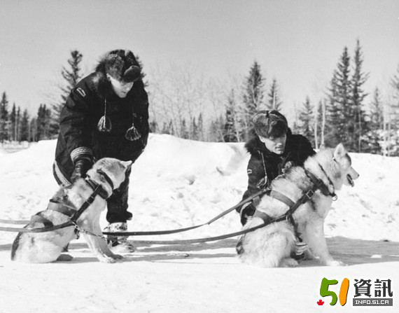 乘狗拉雪橇巡邏的加拿大皇家騎警