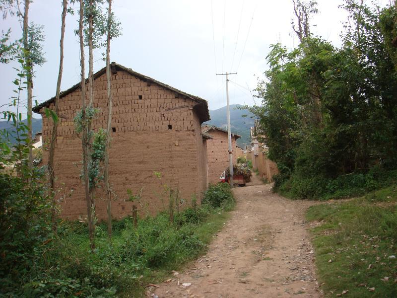 蒼東村(海南省海口市龍華區城西鎮下轄村) 蒼東村(海南省海口市龍華區城西鎮下轄村)